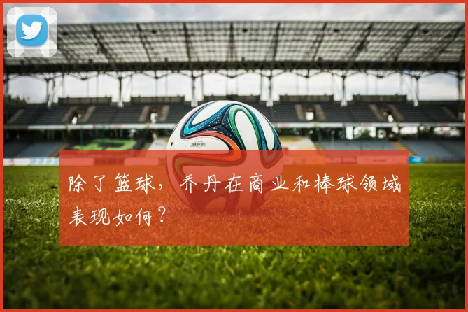 除了篮球，乔丹在商业和棒球领域表现如何？