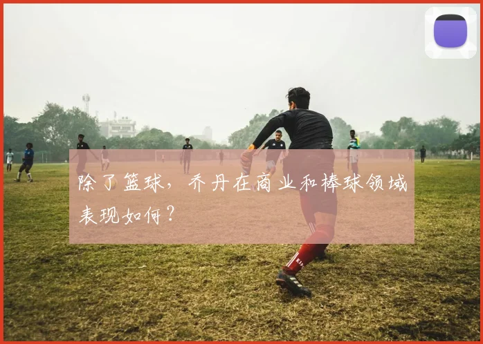 除了篮球，乔丹在商业和棒球领域表现如何？