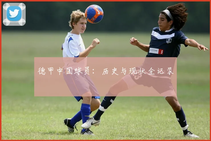 德甲中国球员：历史与现状全记录