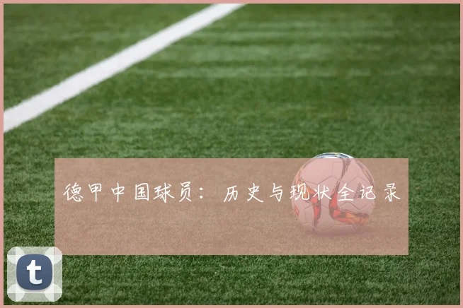 德甲中国球员:历史与现状全记录