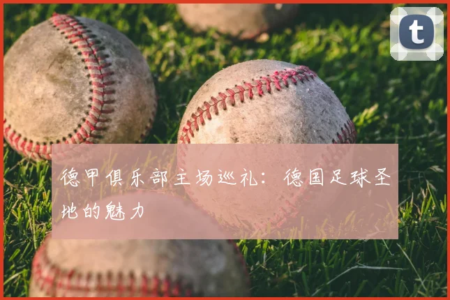 德甲俱乐部主场巡礼：德国足球圣地的魅力